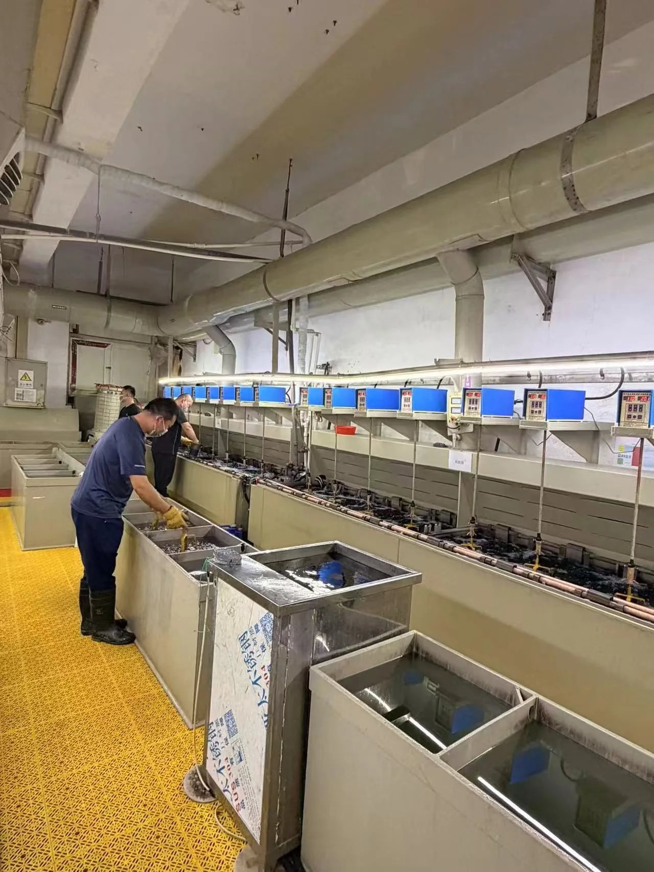 Jewelry plating line with production staff and processing tanks