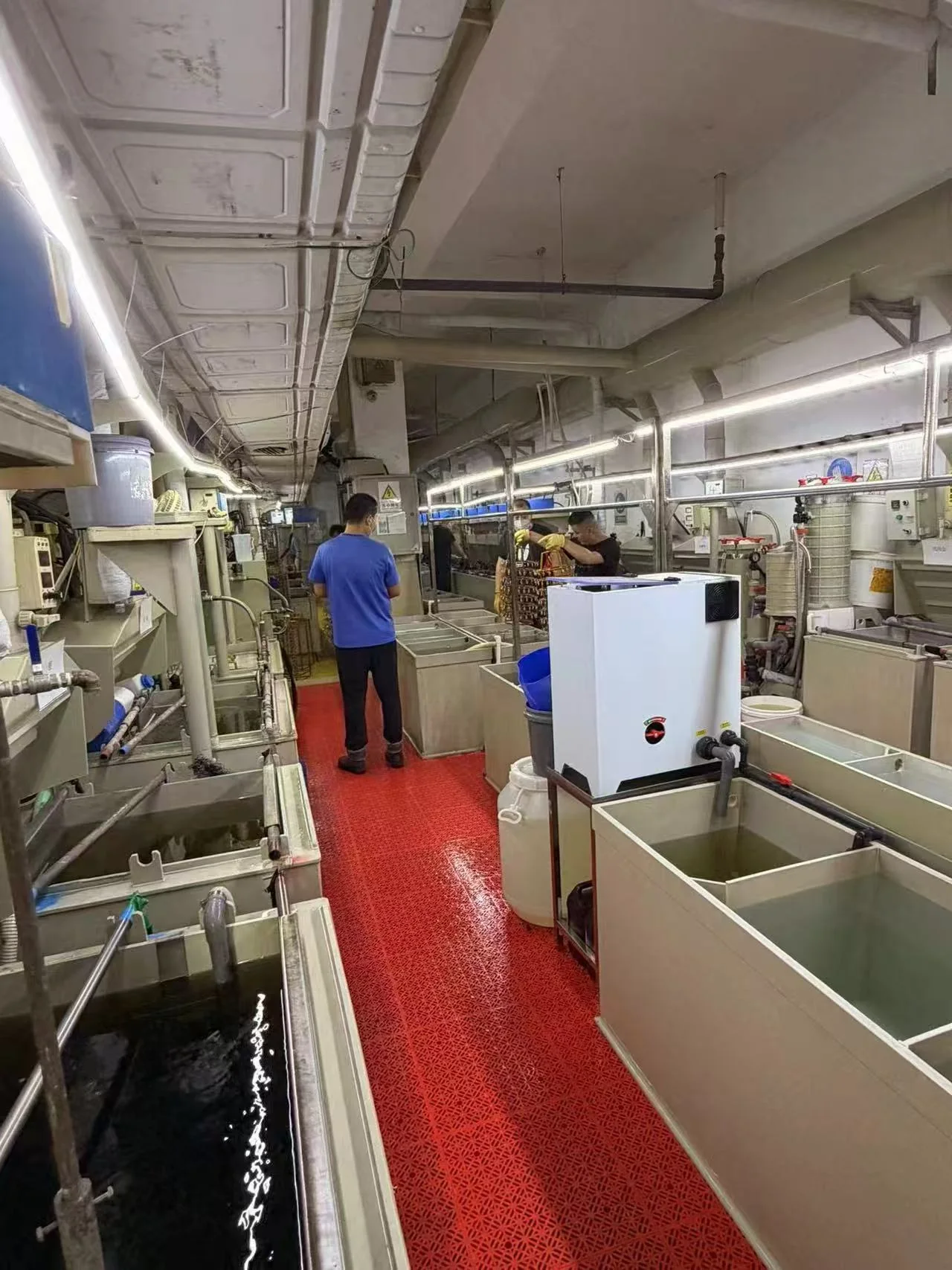 Jewelry surface finishing workshop with processing tanks and production equipment